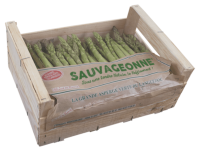 asperges-vertes
